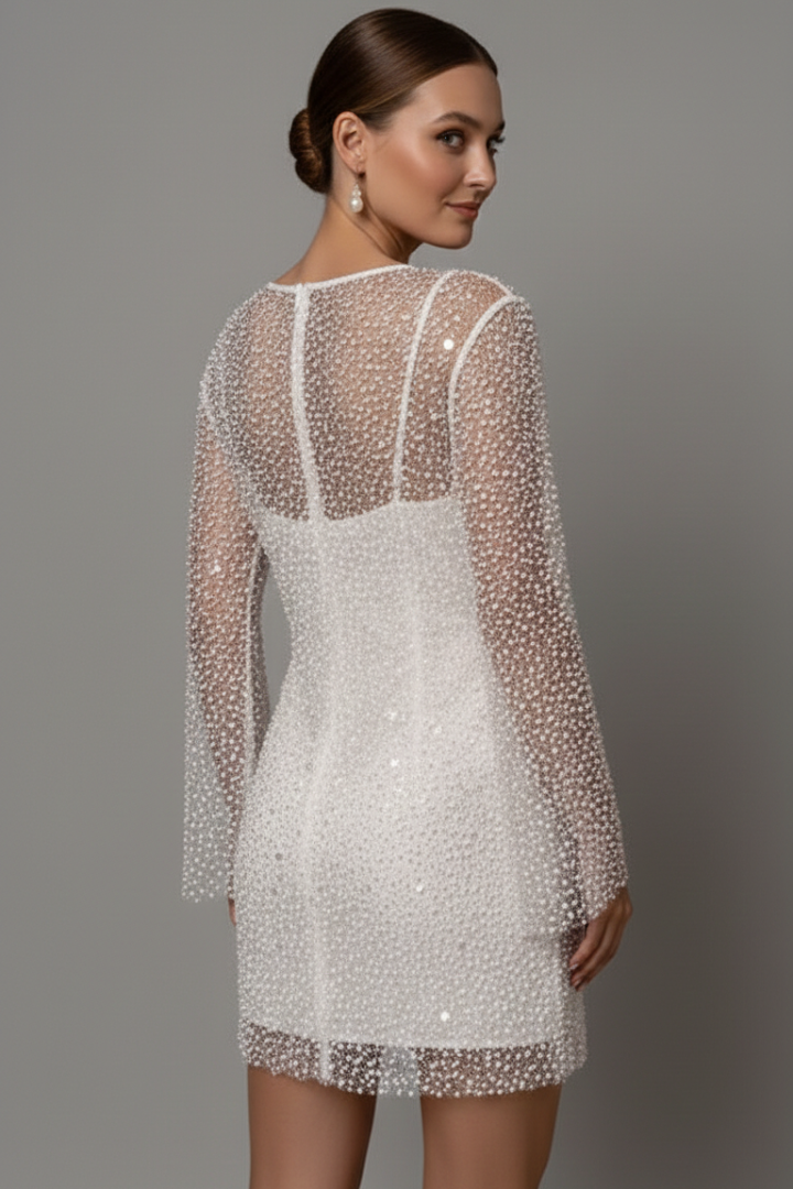 Annabel – Sleeveless Mini Dress with Sheer Mesh Overlay